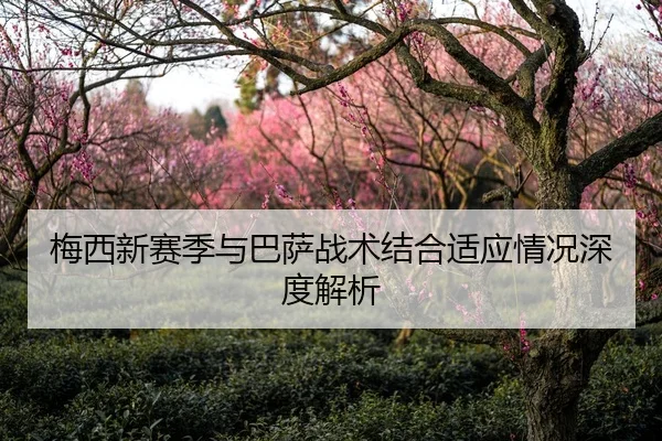 梅西新赛季与巴萨战术结合适应情况深度解析